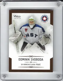 Svoboda Dominik OFS Chance Liga 2018-19  č.190
